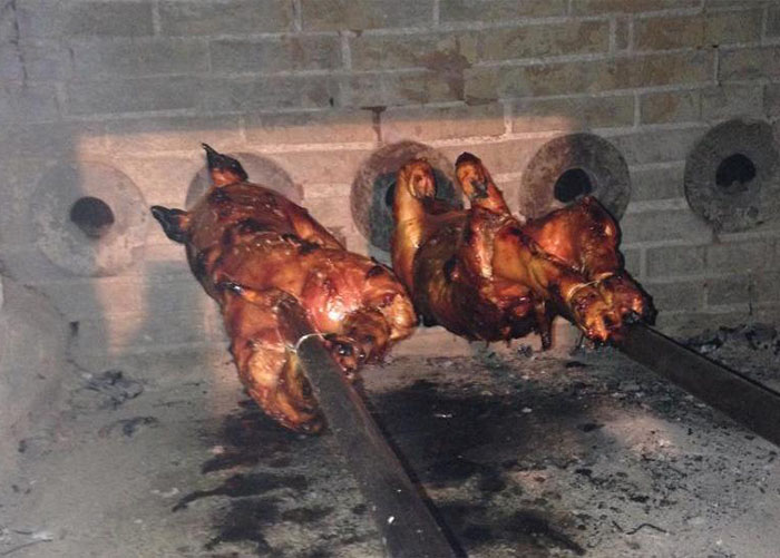 Cochon de lait à la broche Le Meux