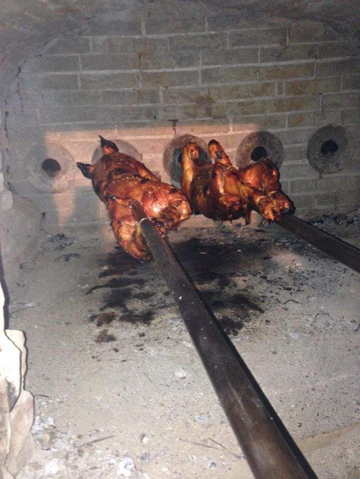 Cochons de lait rôtis Le Meux