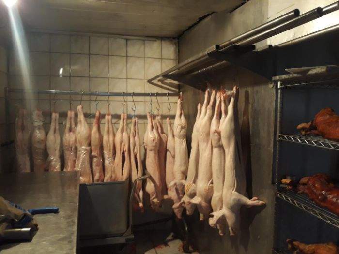 Cochons de lait à rôtir Le Meux