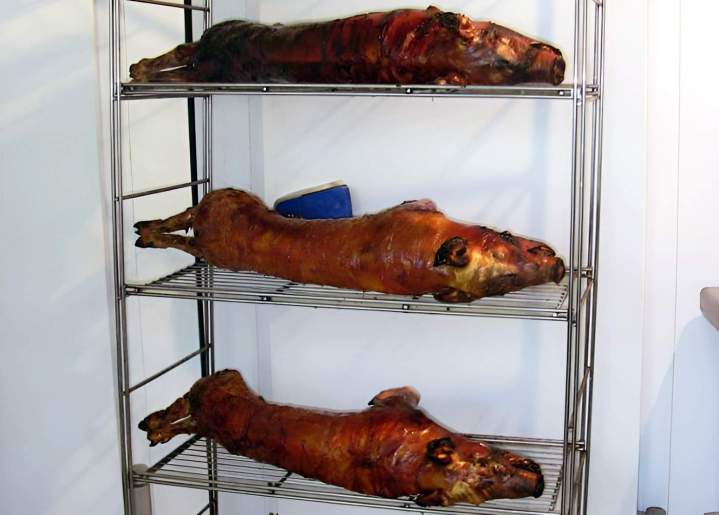 Cochons grillés au feu de bois Le Meux